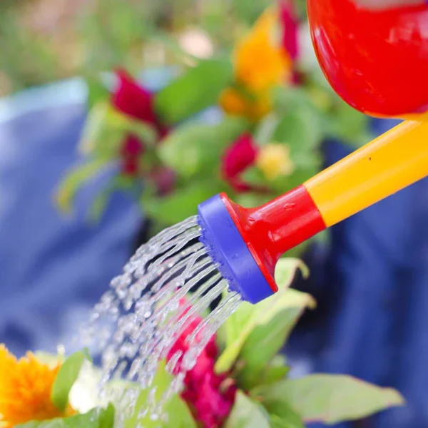 Haba Watering Can - Image 3